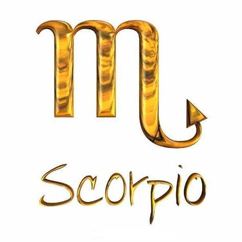 Scorpio Man, Bored Art, The Scorpio, Queens Wallpaper, Scorpio Sign, Scorpio Men, Things To Come, On Instagram, Art