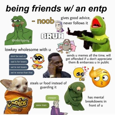 Infp Mbti, Infj And Entp, Entp Personality Type, 16 Personality Types, Facial Reconstruction, Mbti Types, Personality Tests, Mbti Memes, Intj Intp