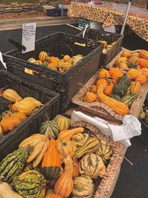 Fall Farmers Market Aesthetic, Midwest Autumn, Autumn Farmers Market, Fall Nostalgia, Fall Farmers Market, Farmers Market Aesthetic, October Mood Board, Community Event Ideas, Market Aesthetic