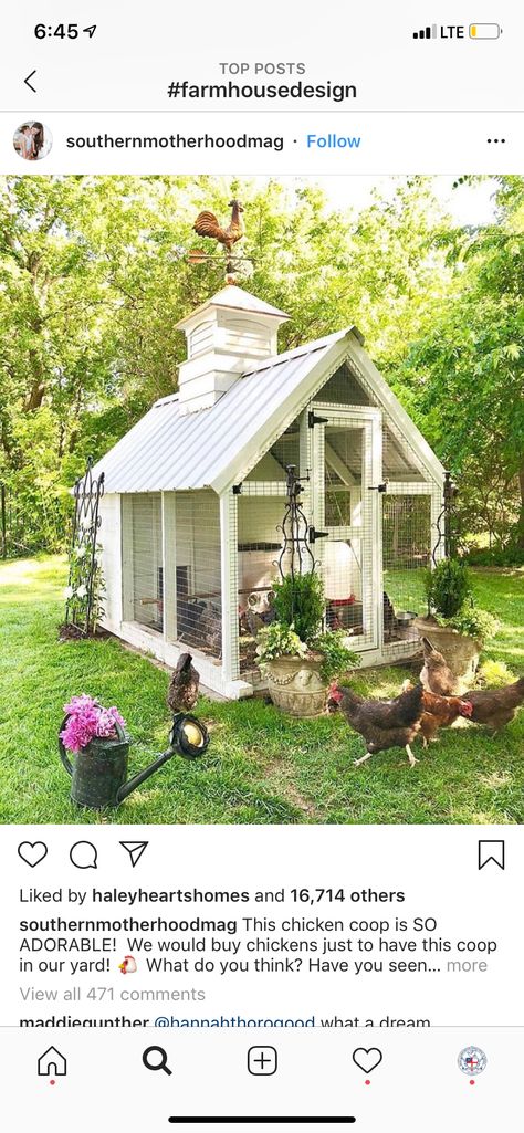 Easy Garden Ideas Landscaping, Cute Chicken Coops, Metal Building Designs, Coop Ideas, Silkie Chickens, Duck House, Farm Layout, Chicken Garden, Cute Chickens