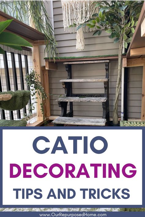 outdoor catio Catio Ideas For Cats Outdoor, What To Put Inside Catio, Catio Cats Interior, Cat Patio Apartment, Catio Ideas Cat Diy, Cat Balcony Ideas, Catios Ideas For Cats, Cat Proof Balcony, Cat Balcony