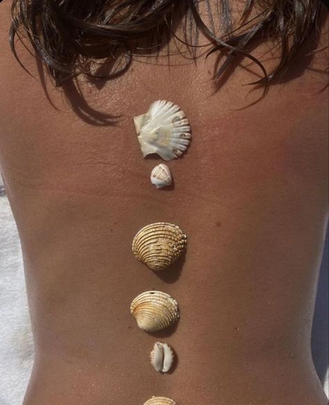 tanning with seashells Shells Beach Aesthetic, Beach Sea Shells Aesthetic, Summer Vacation Beachy Shell, Tan Skin Beach Aesthetic, Tanning Aesthetic, Summer Aesthetic Seashells, Tan Summer, Summer Tan, Summer Tanning