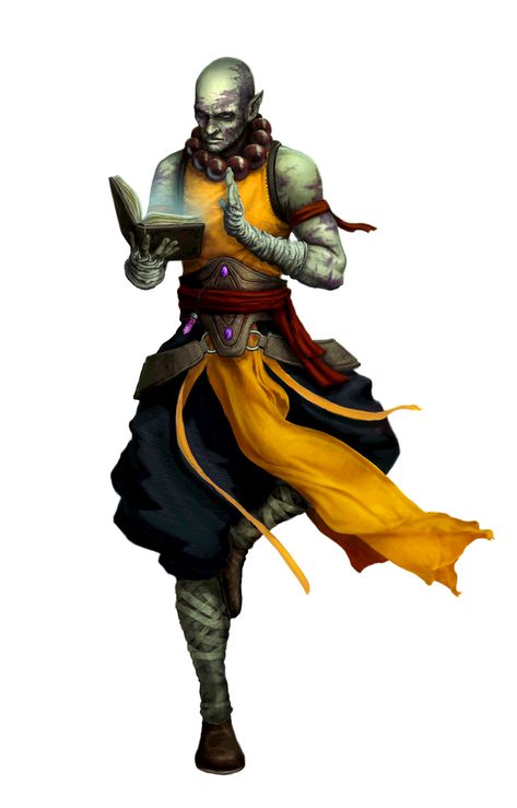 D&d Monk, Monk Pathfinder, Pathfinder Monk, Dnd Monk, Dnd Orc, Monk Dnd, Pathfinder 2e, Half Orc, Fantasy Role Playing