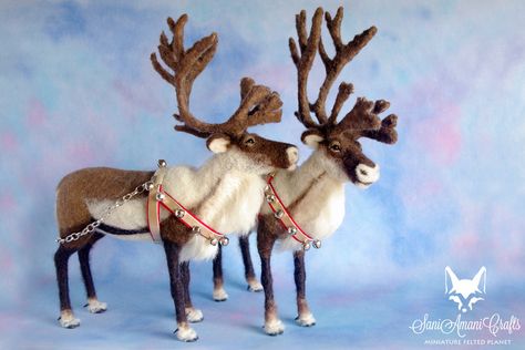 Pair of needle felted reindeers in Christmas tacks by SaniAmaniCrafts on DeviantArt Needle Felted Fox, Felt Fox, Needle Felted Christmas, Needle Felting Tutorials, Needle Felting Projects, Wool Art, Felt Christmas Ornaments, Needle Felted Animals, Needle Art