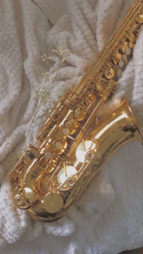 Alto Saxophone Wallpaper, Aesthetic Saxophone Pictures, Saxophone Wallpaper Instruments, Alto Sax Aesthetic, Cool Saxophone, Gold Music Aesthetic, Saxophonist Aesthetic, Tenor Saxophone Aesthetic, Saxophone Aesthetic Wallpaper