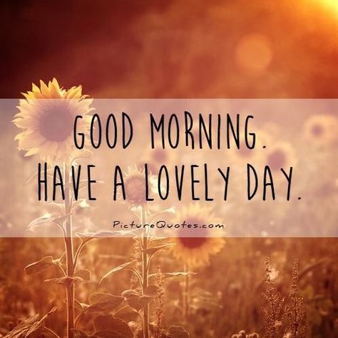 Good Morning, Have A Lovely Day morning good morning morning quotes good… Have A Lovely Day Quotes, Lovely Day Quotes, Beatiful Day, Good Morning For Him, Morning Handsome, Good Morning Handsome, Special Good Morning, God Natt, Funny Good Morning Quotes