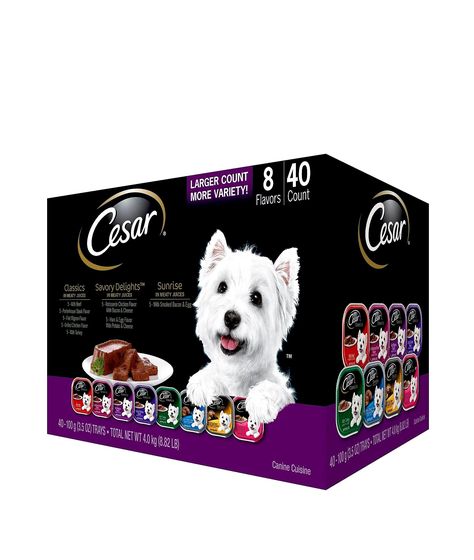 CESAR CANINE Cuisine Variety Food Variety Food, Food Variety, Canned Dog Food, Food Pack, Wet Dog, Pouch Packaging, Best Dog Food, Wet Dog Food, Puppy Food