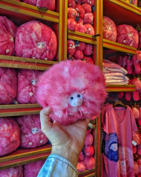 Simply Potter ✨ on Instagram: “PYGMY PUFF APPRECIATION POST!! 💗 Pygmy puffs are the cutest little things! And adopting them at Universal is so much fun- you get to have…” Claire Core, Harry Potter Jacket, Pygmy Puff, Harry Potter Land, Universal Trip, Harry Potter Universal Studios, Harry Potter Christmas, Hogwarts School, Harry Potter Party