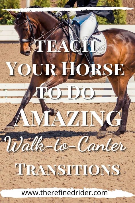 Walk to canter transitions can be a breeze you you and your horse if you know how to set them up. Try this great dressage exercise to help you set up your transition in a way that makes it easier for the horse. #walktocantertransitions #dressage training #dressageexercises #Dressage2ndlevel Fun Horse Riding Exercises, How To Trot On A Horse, How To Practice Horse Riding Without A Horse, Equestrian Vaulting Moves, Lunging Horse, Horse Riding Games, Jumping Courses, Dressage Exercises Training, Horse Transition Exercises