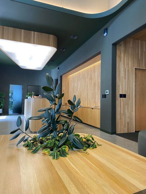 A Substack on the reception and clinic for Northwest Functional Neurology, which was designed to relax the nervous system. Calm The Nervous System, How Design, Doctors Office, Doctor's Office, Healthcare Design, Clinic Design, The Nervous System, Doctor Office, Neurology