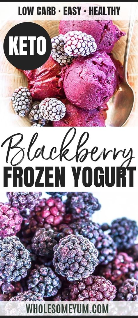 Keto Frozen Yogurt, Blackberry Frozen Yogurt, Blackberry Recipe, Keto Yogurt, Frozen Yogurt Recipe, Frozen Greek Yogurt, Keto Treats, Blackberry Recipes, Foraging Recipes