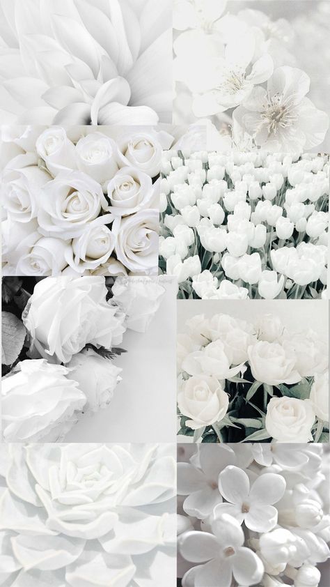 White Core Wallpaper, White Flower Aesthetic Wallpaper, Whitecore Aesthetic, Soft White Aesthetic Wallpaper, White Asthetics Wallpaper, White + Core + Aesthetic, White Flowers Aesthetic, White Vibe, White Flower Wallpaper