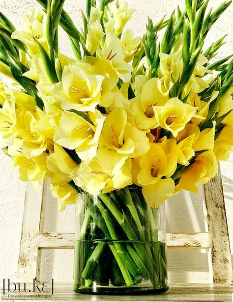 A pretty vase of gladiolus for August. Gladiolus Arrangements, Yellow Flower Arrangements, Garden Archway, Gladiolus Flower, Unique Floral Arrangements, Gladioli, Church Flowers, Flowers Yellow, Beautiful Flower Arrangements