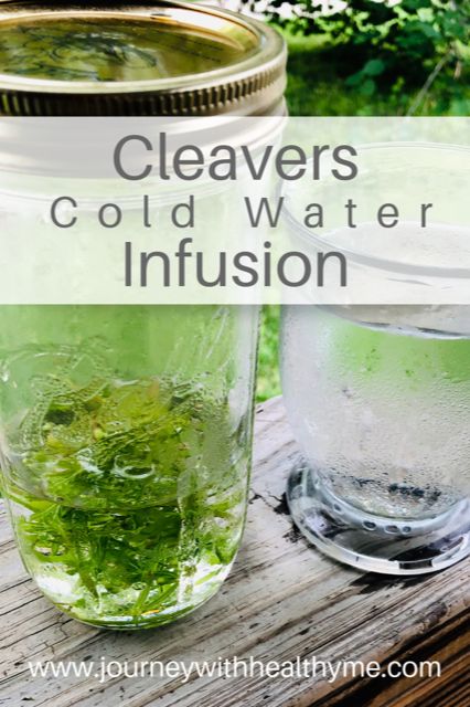 Cleavers Cold Water Infusion - Journey With Healthy Me Cleavers Health Benefits  Health Benefits of Cleavers Cleavers Tea Healing Herbs #journeywithhealthyme #cleaverscoldwaterinfusion #cleaverstea Tea Healing, Cucumber Infused Water, Water Infusion, Wild Food Foraging, Foraging Recipes, Herbal Recipes, Herbal Infusion, Vegetable Drinks, Wild Edibles