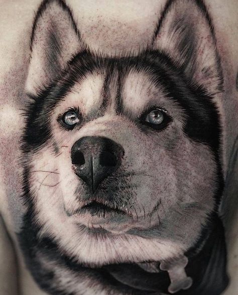 Husky Tattoo, Arm Tattoos, Dream Tattoos, Dog Tattoos, Alter Ego, Arm Tattoo, Thor, Husky, Tattoos