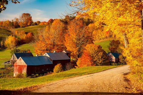 Jenne Rd Farm | Vermont | Justin Terveen | Flickr Jenne Farm Vermont, John Deere Tractors Farms, John Deere Tractors, Farm Tractor, Fall Harvest, John Deere, Vermont, Colour Palette, Country Roads