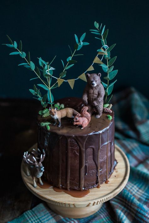 Woodsy Cake, Campfire Cake, Nature Cake, Toasting Marshmallows, Ganache Frosting, Woodland Cake, Wedding Cake Rustic, Roasting Marshmallows, Open Fire