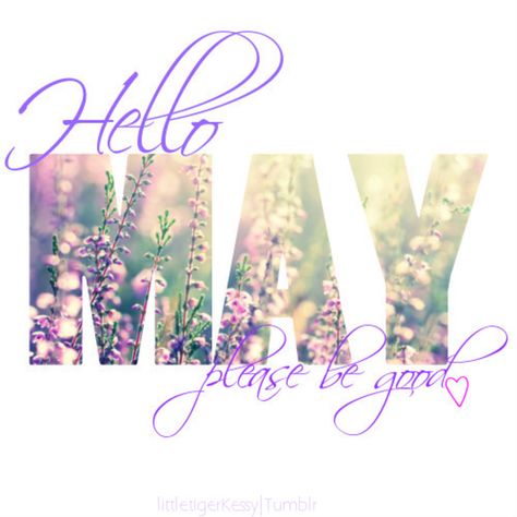 80 Hello May Quotes And Sayings To Bring In The Wonderful, colorful and warm month. Enjoy these quotes for a new month and love another great may! May Month Quotes, Hello May Quotes, New Month Quotes, Welcome May, May Quotes, Seasons Months, 1. Mai, Monthly Quotes, My Feelings For You