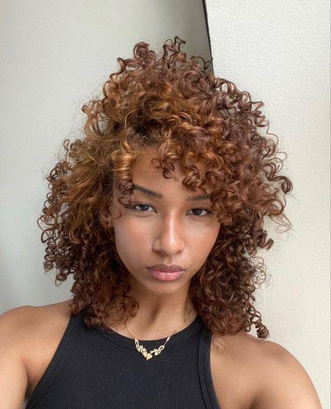 Light Brown Ginger Curly Hair, Copper Brown Hair With Highlights Curly Hair, Auburn Ombre Curly Hair, Color Hair Curly Ideas, Cinnamon Curly Hair Color, Honey Brown Hair Curly Highlights, Hazelnut Brown Curly Hair, Brown Hair Curly Natural, Light Red Curly Hair