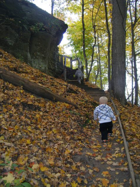 Lancaster, Ohio Favorites: Four Reasons Cafe and Shallenberger Preserve | Lancaster is a great place to visit with your children!  YoderToterBlog.com Lancaster Ohio, Ohio Travel, Drive Through, I Am In Love, Place To Visit, Am In Love, Weekend Trips, Fall Foliage, Field Trip