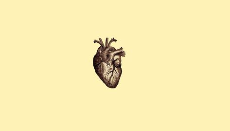 human heart illustration digital art #minimalism #simple simple background #drawing #anatomy #heart #veins #medicine #720P #wallpaper #hdwallpaper #desktop Aesthetic Human Heart, Veins Anatomical, Human Heart Wallpaper, Wallpaper Medicine, Medicine Wallpaper, Medicine Background, Drawing Medical, Nursing Wallpaper, Aesthetic Kirby