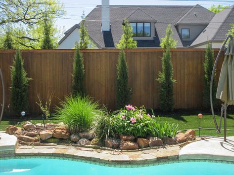 Poolside Landscape Installations - Landscape Designs & Pictures - Dallas, TX - Treeland Nursery Rock Landscaping By Pool, Central Texas Pool Landscaping, Pool Surround Ideas Landscaping, Simple Pool Landscaping Backyard, Behind The Pool Landscaping, Pool Side Landscaping Ideas Backyard, California Pool Landscaping Ideas, Poolside Garden Ideas Landscaping, Plants Next To Pool