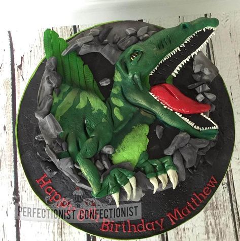 Spinosaurus Cake, Cake Dino, Dinosaur Birthday Cake, Dino Cake, Dinosaur Birthday Cakes, Laughing Cow, Salty Cake, Dinosaur Cake, Childrens Birthday Cakes