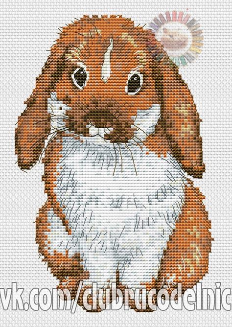 Community wall photos – 59,759 photos | VK Rabbit Cross Stitch, Cross Stitch Pattern Free, Plastic Canvas Ornaments, Animal Cross Stitch Patterns, Easy Cross, Adorable Bunny, Animal Patterns, Bunny Rabbits, Cross Stitch Animals