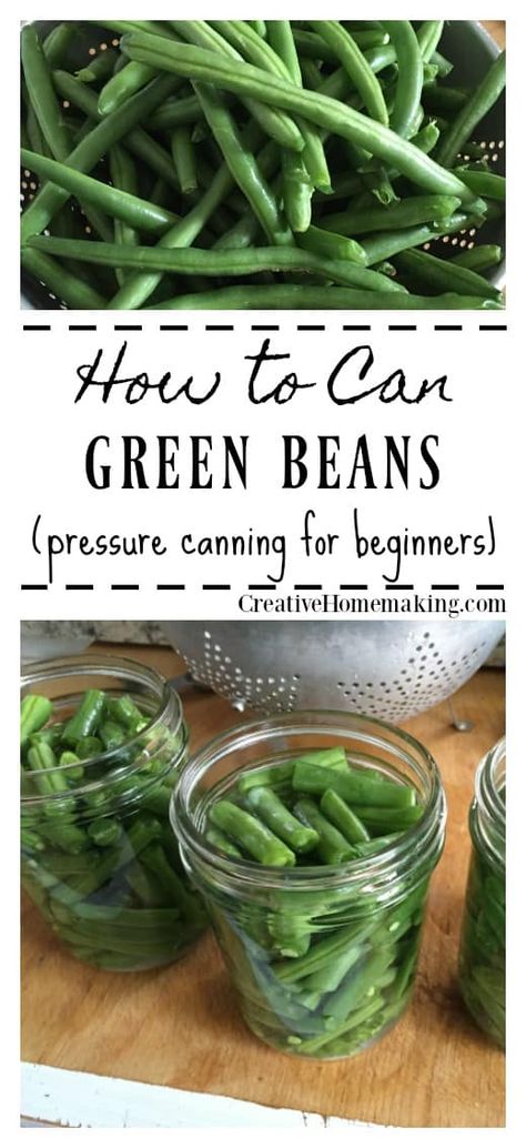 Green Beans From The Garden, Pressure Canning Green Beans, Preserving Green Beans, Canning Green Beans, Canning For Beginners, Canning Rack, Pressure Canning Recipes, Canning Ideas, Coconut Dessert