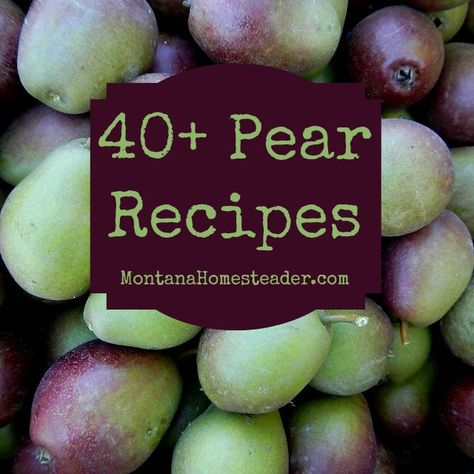 40+ Pear recipes for salads, desserts, main dishes, canning and preserving and more! | Montana Homesteader Preserving Pears, Recipes For Salads, Canning Pears, Canning And Preserving, Desserts Drinks, Pear Dessert, Pear Recipes, Pan Seared Salmon, Pear Trees