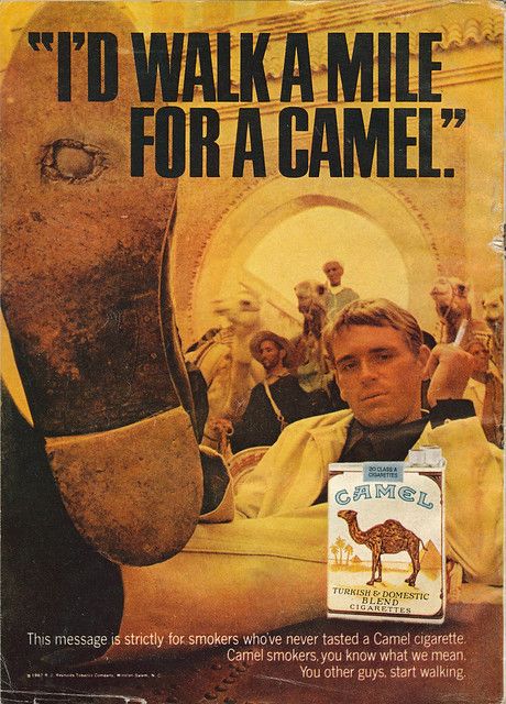 I'd Walk a Mile For a Camel | Vintage cigarette ad. | Flickr Old Ciggerate Ad, Camel Ciggerate, Walk A Mile, Dorm Posters, Racing Posters, Old Ads, Advertising Poster, The Villain, Vintage Ads