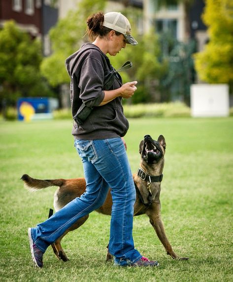 Rewards can be a powerful motivator, but they can also lead to a lack of focus. Learn how to use rewards without sacrificing your attention | #Velvet_Dog_Collar #Personalized_Leather_Dog_Collar #Leather_Dog_Collar_Custom #Dog_Behavior_Training Velvet Dog Collar, Dog Behavior Training, Hand Signals, Dog Business, Dog Collar With Name, Dog Training Advice, Training Schedule, Personalized Dog Collars, Dog Rules