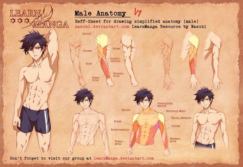 Learn manga Learn Manga, Manga Male, Poses Manga, Male Figure Drawing, Male Anatomy, Manga Tutorial, Anatomy Tutorial, Human Anatomy Drawing, Human Figure Drawing