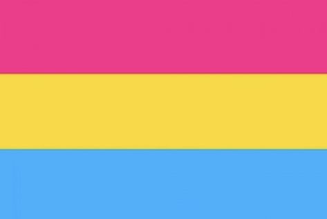 Nonbinary Flag, Pansexual Flag, Bisexual Flag, Lgbtq Funny, Lgbt Flag, Lgbtq Flags, Pansexual Pride, Bee Sticker, Backgrounds Wallpapers