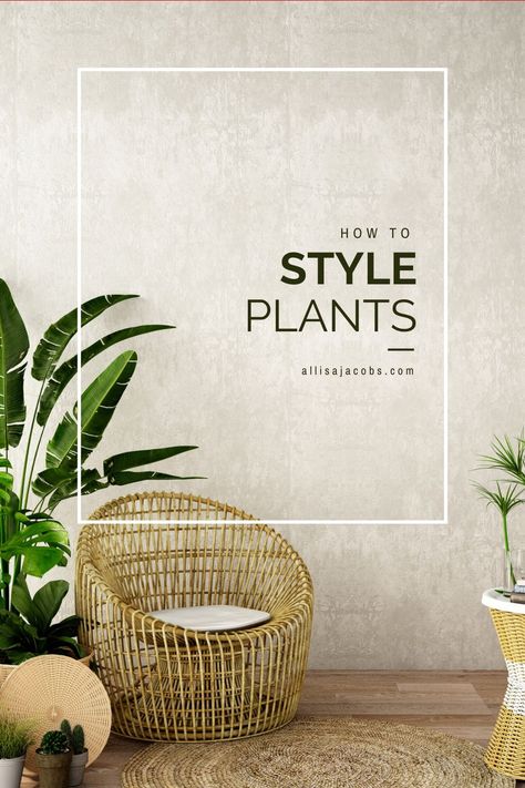 Easy to tips to style house plants for any space! Decorating with indoor plants can make a big impact with these styling points in mind #plantdecor #plantlover #indoorplants #stylingplants How To Incorporate Plants In Your Home, Countertop Plants, Table Top Plants Home Decor, House Plant Styling, Indoor Plant Trends 2023, Styling With Plants, Plants Inside Home Decor, Indoor Plants Styling Inspiration, Decorating With House Plants