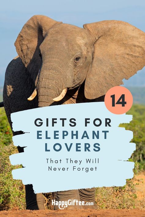 List of hand-picked gift ideas for elephant fans 🎁 See full article at: https://www.happygiftee.com/elephant-gifts/ Gifts For Elephant Lovers, Elephant Teacher Gift, Gifts With Elephants, 19th Birthday Presents, Elephant Gifts For Her, Elephant Gift Ideas, Safari Decor, Thailand Elephants, Gift Ide