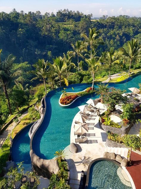 Bali's Longest Infinity Pool at Padma Resort Ubud, bali hotels Forest Resort, Voyage Bali, Resort Pools, Outdoor Swimming, Bali Travel, Alam Yang Indah, Infinity Pool, Cool Pools, Outdoor Swimming Pool