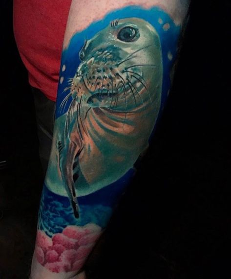 Cute Seal American Seal Tattoo, Small Seal Tattoo, Leopard Seal Tattoo, Monk Seal Tattoo, Harbor Seal Tattoo, Seal Tattoo, Seal Swimming Underwater, Monk Seal, Cute Seals