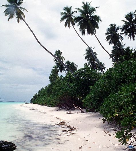 Robinson Crusoe Aesthetic, Stranded Island Aesthetic, Desert Island Aesthetic, Remote Island Aesthetic, Stuck On A Deserted Island Aesthetic, Journalling Pictures, Stranded On An Island Aesthetic, Deserted Island Aesthetic, Tropical Island Aesthetic