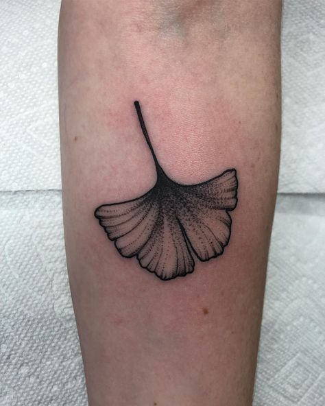 So Much Tattoo, Tattoo 2024, Matching Tats, American Traditional Tattoo Ideas, Traditional Tattoo Ideas, Tattoo Themes, Chic Tattoo, Handpoke Tattoo, Ginkgo Leaves