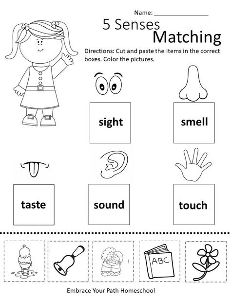 My 5 Senses Worksheet, 5 Senses Prek Craft, 5 Senses Worksheet Kindergarten, My Senses Worksheets, Five Senses Sorting Free Printable, Five Senses Preschool Printables Free, 5 Senses Worksheet Preschool, Senses Worksheet Preschool, 5 Senses Crafts Preschool