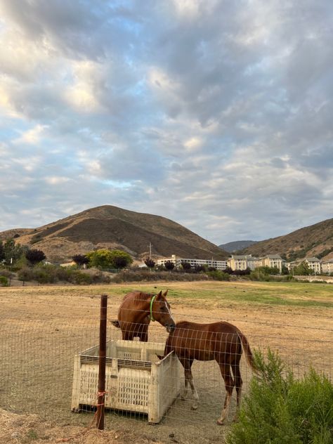 Cal Poly Aesthetic, Cal Poly Slo Aesthetic, Calpoly Slo, Cal Poly Slo, Cal Poly Pomona, Photos I Want To Recreate, Cu Boulder, Cal Poly, 2024 Aesthetic