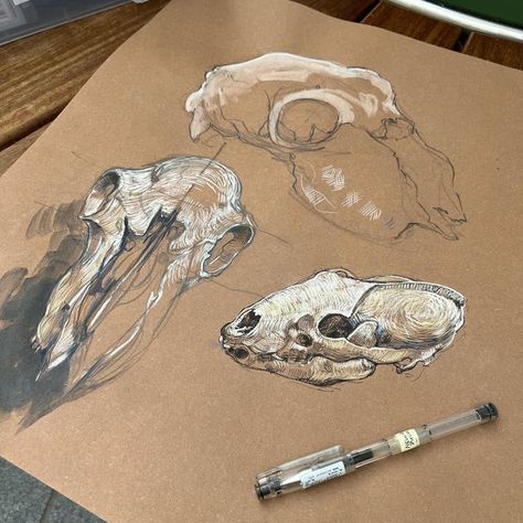 Animal Skull Art Drawing, Animal Bone Drawing, Bird Skull Art, Sheep Skull Drawing, Animal Bones Drawing, Bone Art Drawing, Animal Skull Illustration, Drawings On Brown Paper, Animal Skull Painting