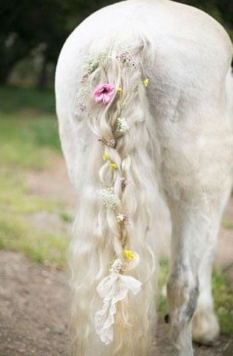 So doing this to my horses hair. horses & flowers Horse Mane Braids, Horse Braiding, Tail Braids, Horse Flowers, Horse Wedding, Horse Mane, A Secret Garden, Horse Costumes, Horse Tail