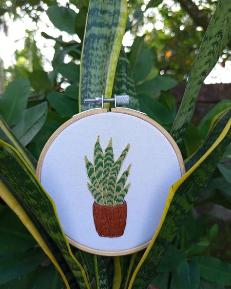 Snake Plant Hand Embroidery 🪡🪴🪴 #embroiderylove #snakeplant #handembroidered #needlework #botanicalembroidery #embroidery #embroideryart #art Snake Plant, Embroidery Art, Hand Embroidered, Hand Embroidery, Needlework, Embroidery, Plants, Art