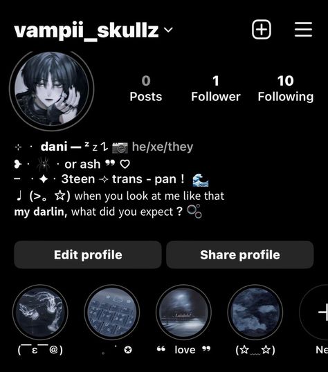 Pfp For Discord Sever, Instagram Profile Themes, Aesthetic Discord Name Ideas, Insta Acc Ideas, Usernames Ideas For Instagram, Instagram Pronouns Ideas, Aesthetic Insta Accounts, Aesthetic Insta Profile Ideas, Aesthetic Insta Layout