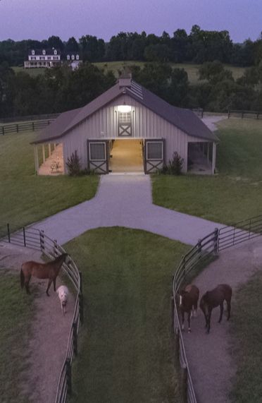 Pasture Shelter, Luxury Horse Barns, Horse Stables Design, Dream Barn Stables, Dream Environment, Equestrian Barns, Horse Farm Ideas, Equestrian Building, Morton Building