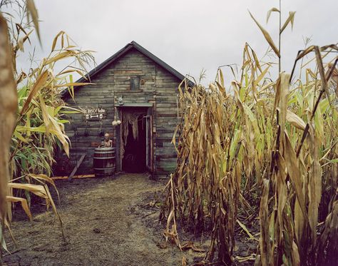 Barn Party, Children Of The Corn, Simple Things In Life, American Gothic, Over The Garden Wall, Southern Gothic, Gothic Aesthetic, Theme Halloween, Simple Things