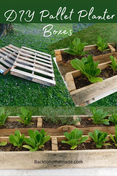 DIY Pallet Planter Boxes Homemade Raised Garden Beds, Pallet Planter Boxes, Pallet Raised Garden Bed, Pallet Compost Bin, Pallet Raised Garden, Pallet Compost, Diy Pallet Planter, Compost Bin Pallet, Pallet Planter Box