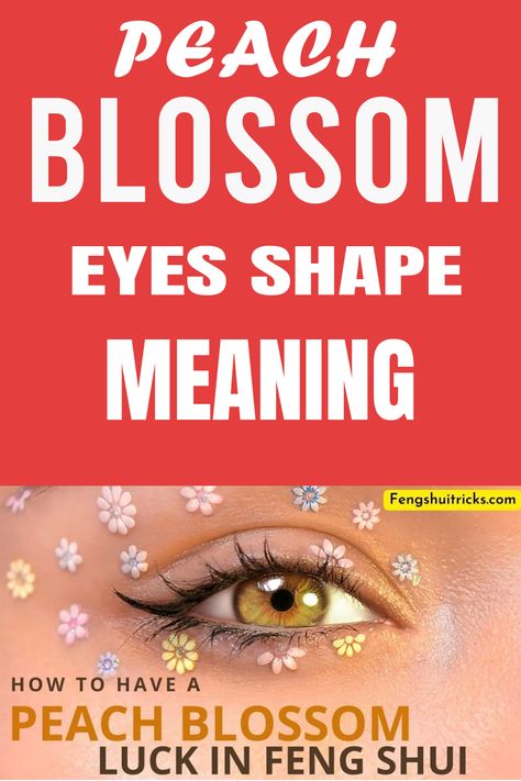 In this article, we’ll uncover peach blossom eyes shape face reading meaning for males and females and what makes peach blossom eyes exceptional. #eyes #blossom #fengshui #fengshuitips Peach Blossom Eye Shape, Peach Blossom Eyes, Eyes Shape, Shape Face, Shape Meaning, Almond Eyes, Face Reading, Watery Eyes, Bedroom Eyes